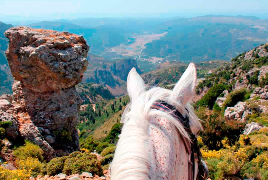 Faire du cheval en Grèce