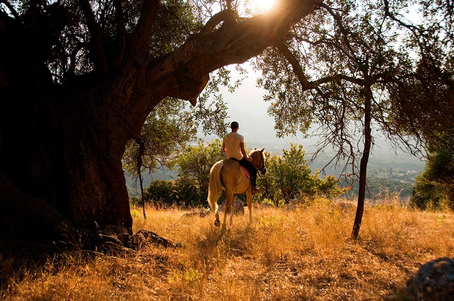 Randonnée à cheval - Kefalonia Horse Riding Tours