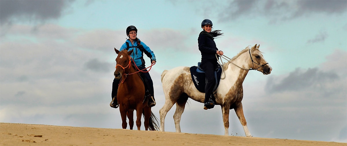 Horse riding holidays in Holland