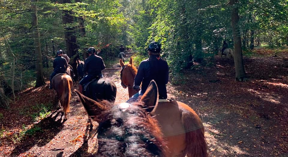 Horseback riding in Holland