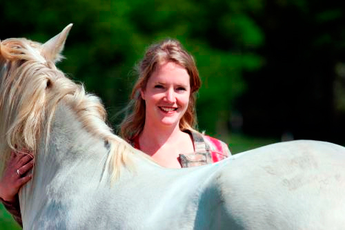 Coaching with horses in the Netherlands