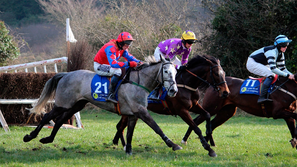 Irish field jumping competition