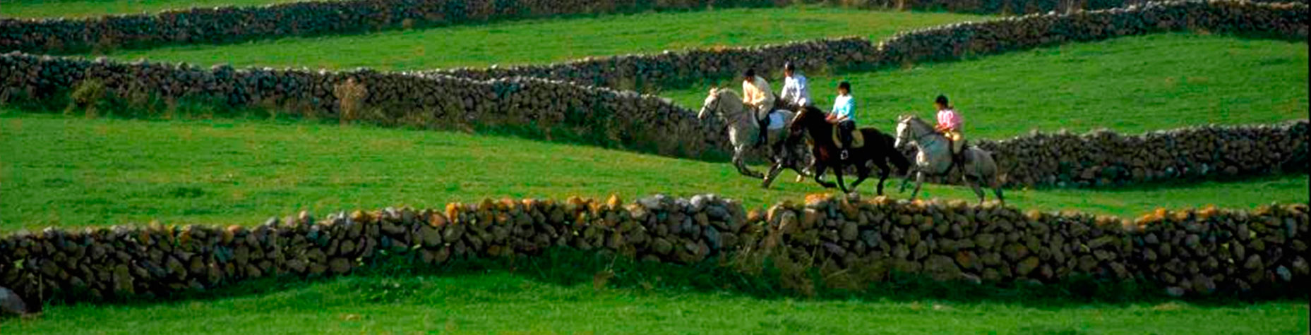 horse-riding-holidays-in-ireland-ampascachi