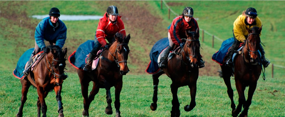 Young horse riders in Ireland