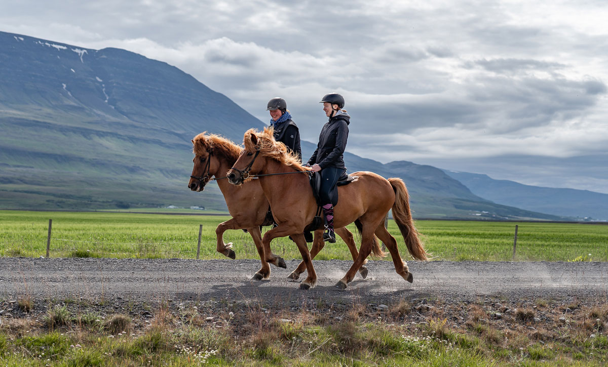 Cours d’équitation