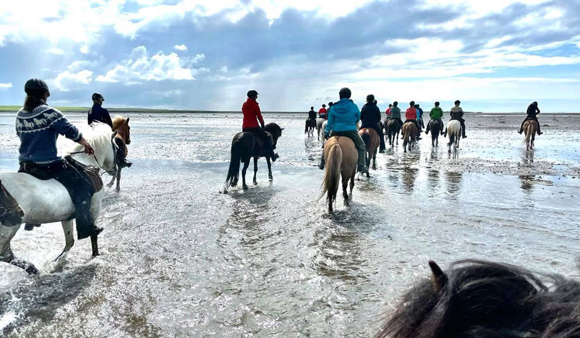 Promenade à cheval sur la plage