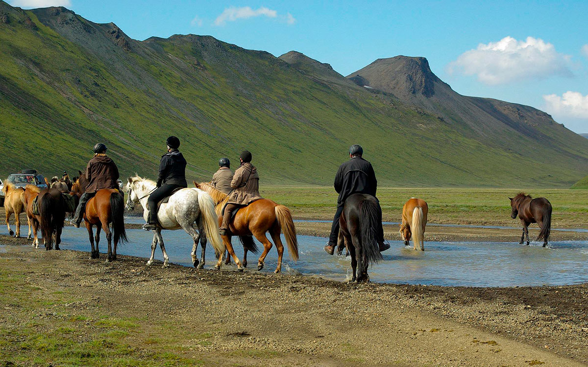 Équitation en Islande