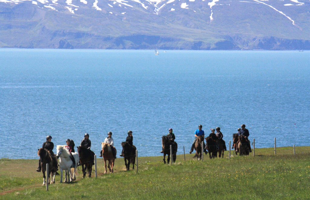 Excursion à cheval