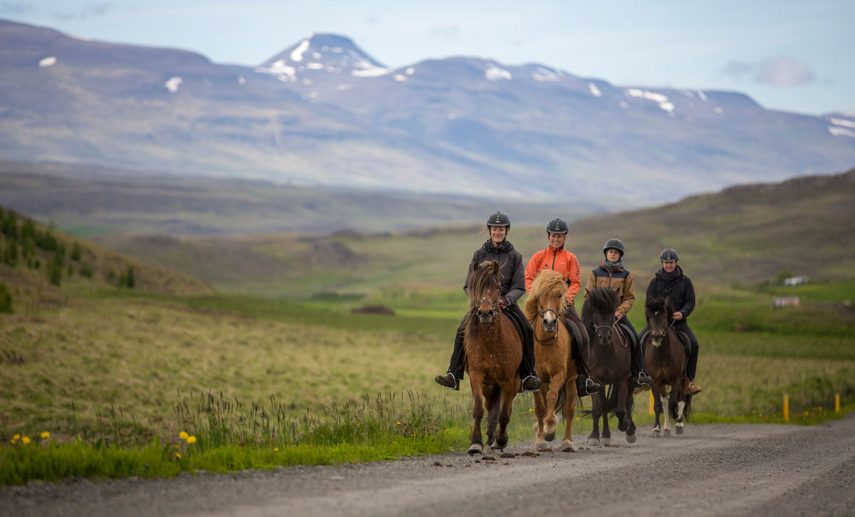 Routes à cheval en Islande