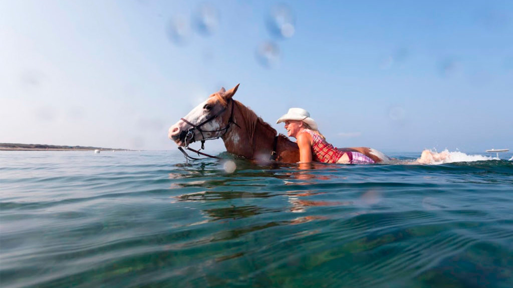 Baño en el mar con el caballo