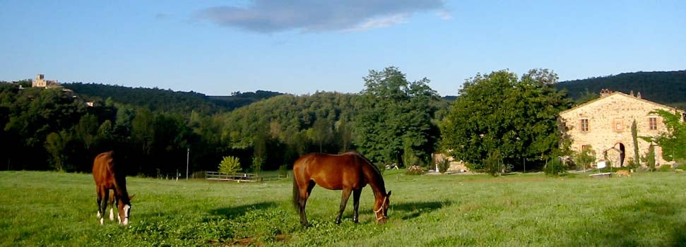 Centro Ippico della Berardenga