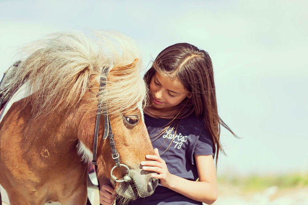 Bienestar del caballo