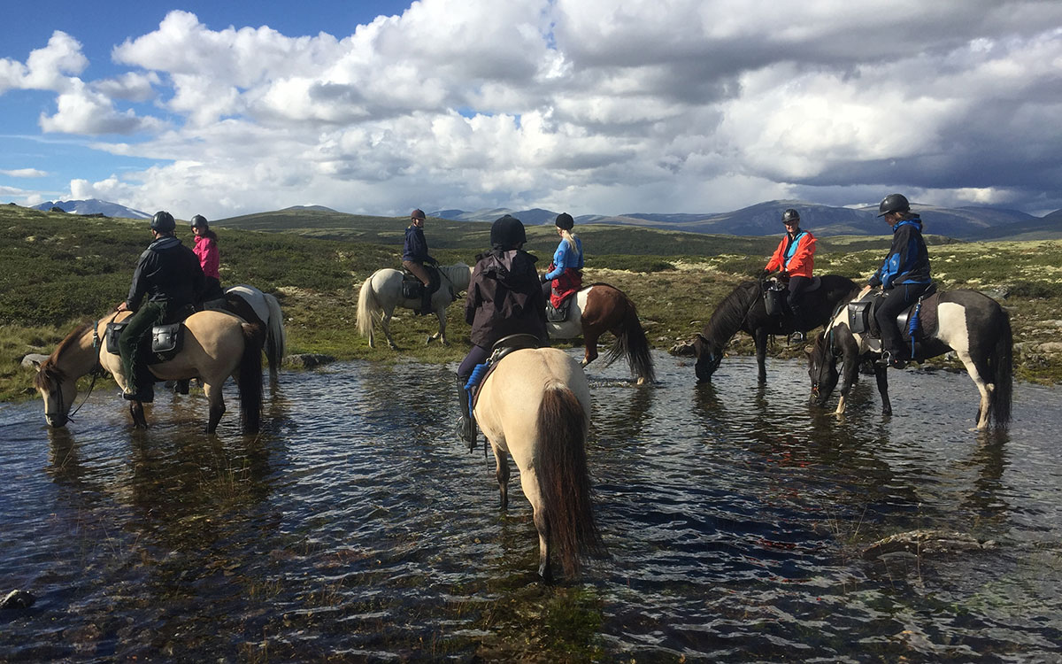 horseback ride