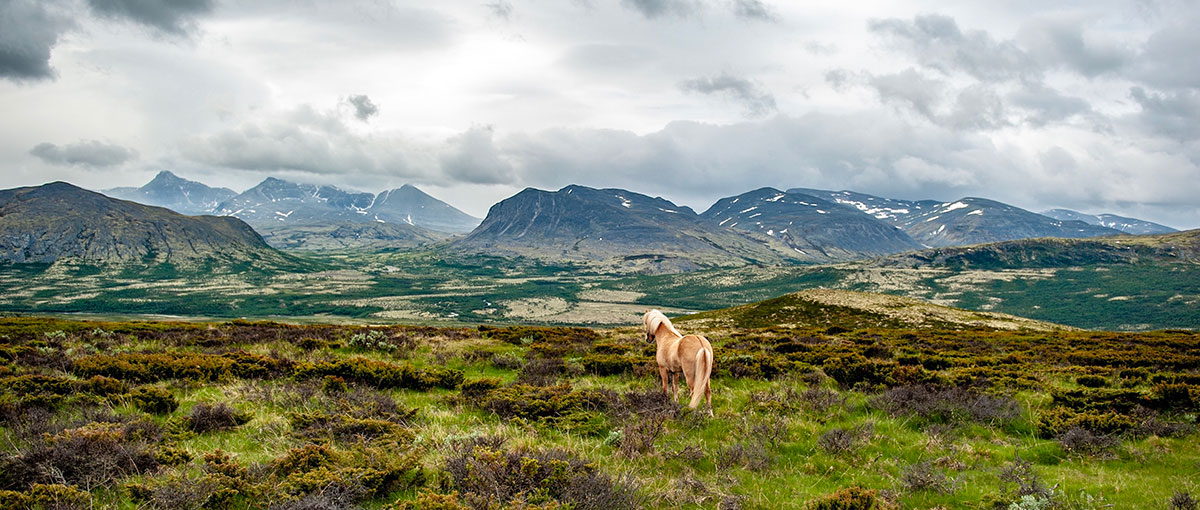 Norway Landscape