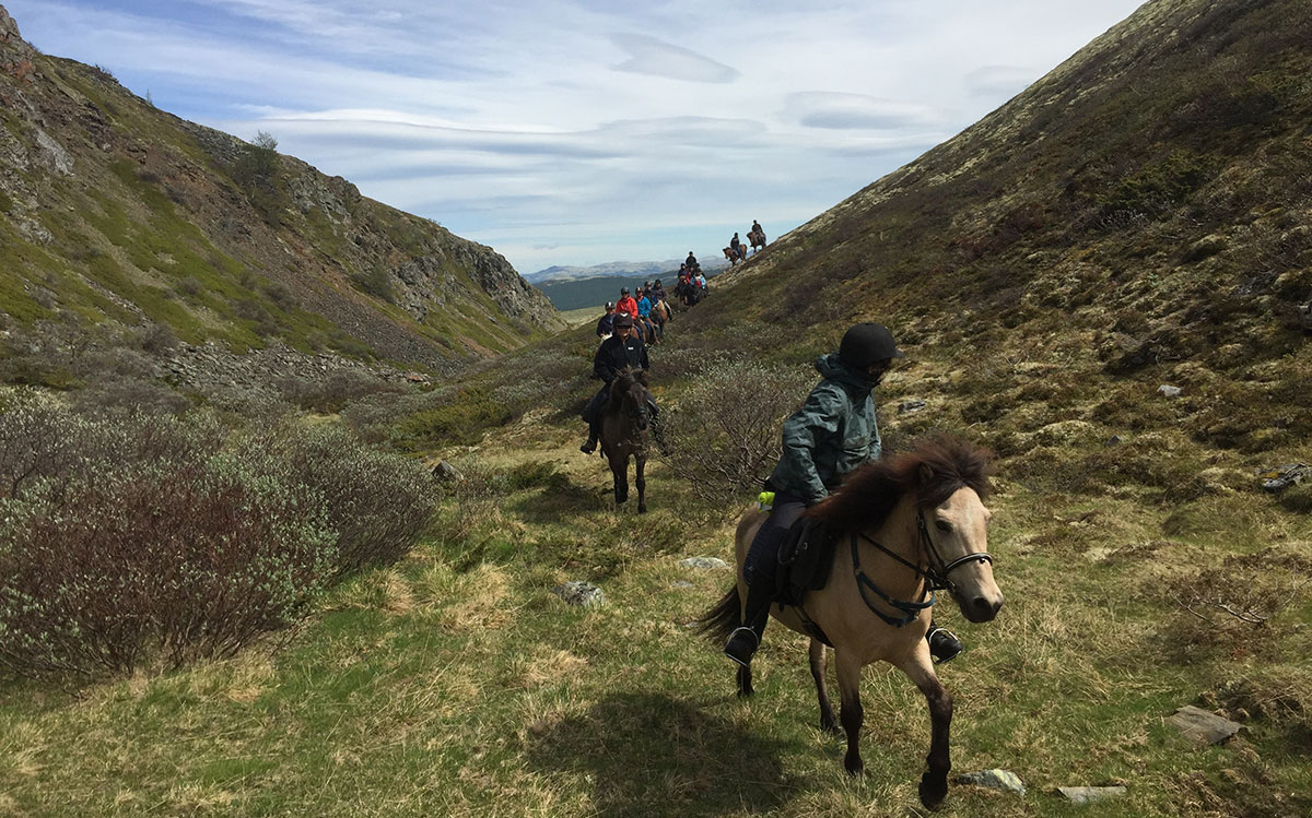  horse riding Norway