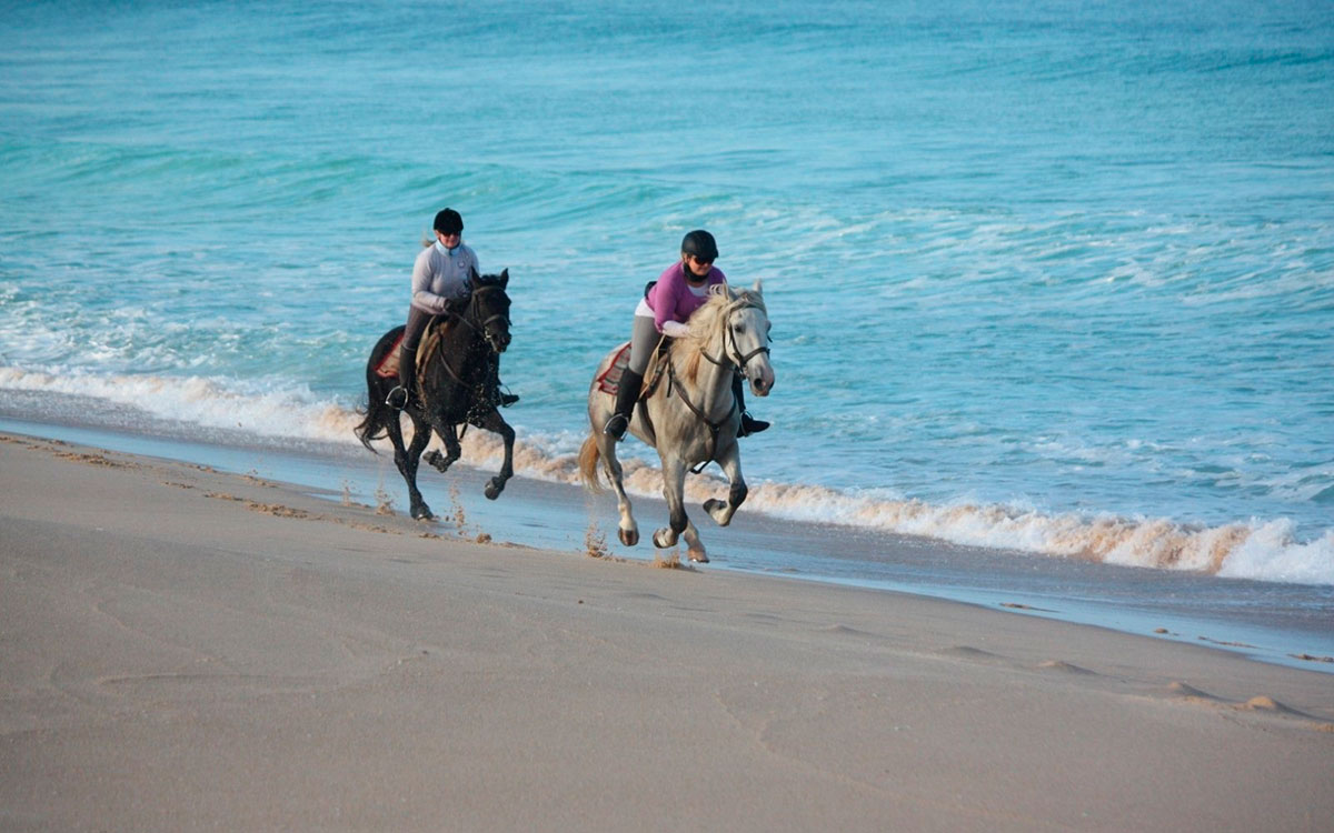 Alentejo Coast Trail