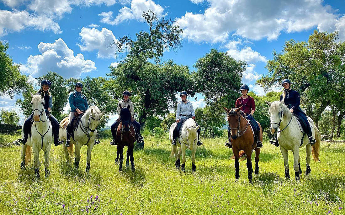 Grupo de jinetes belgas