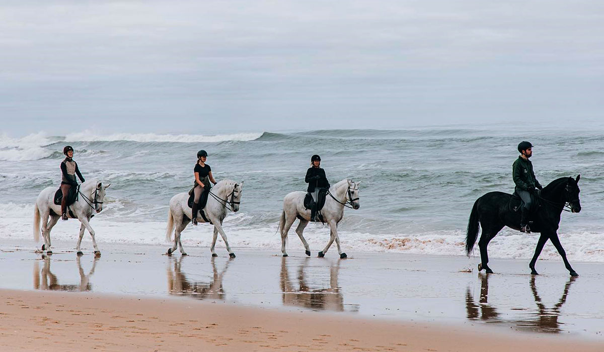 Promenade à cheval sur la plage