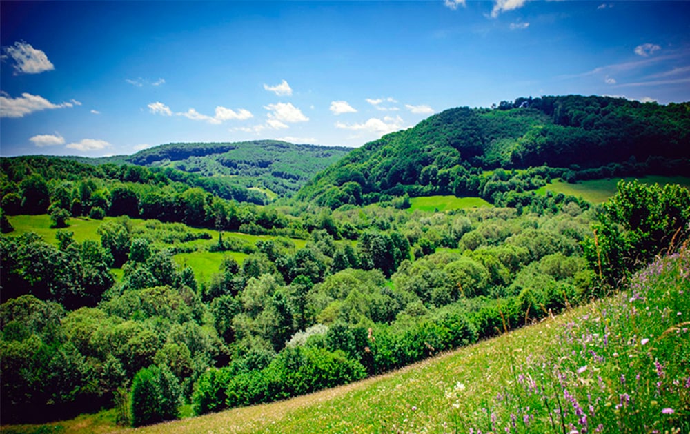 Vista de campos en Rumanía