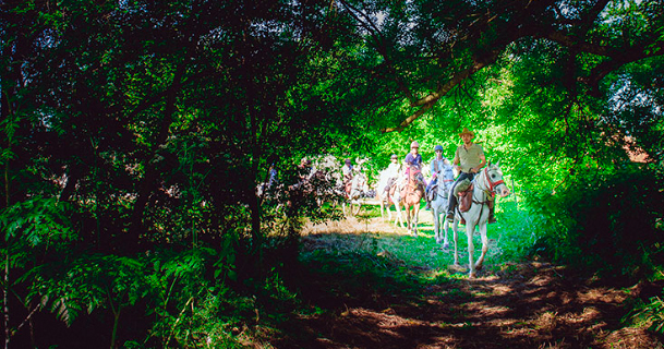 Riding in Romania