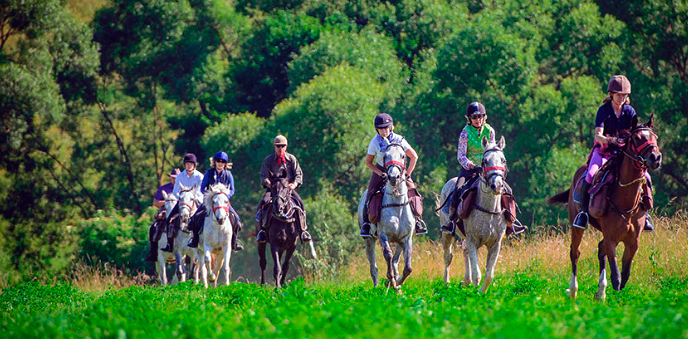 Montar a caballo en Rumanía