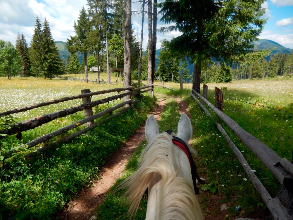 Vacances à cheval en Roumanie