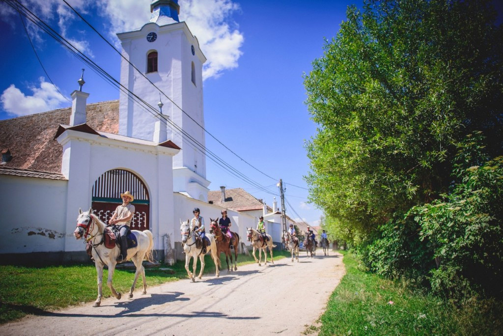 Horseback riding in Romania