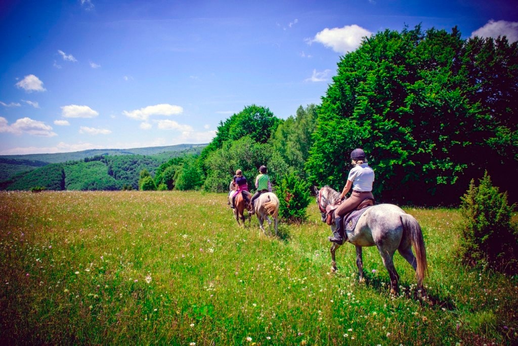 Faire du cheval en Roumanie