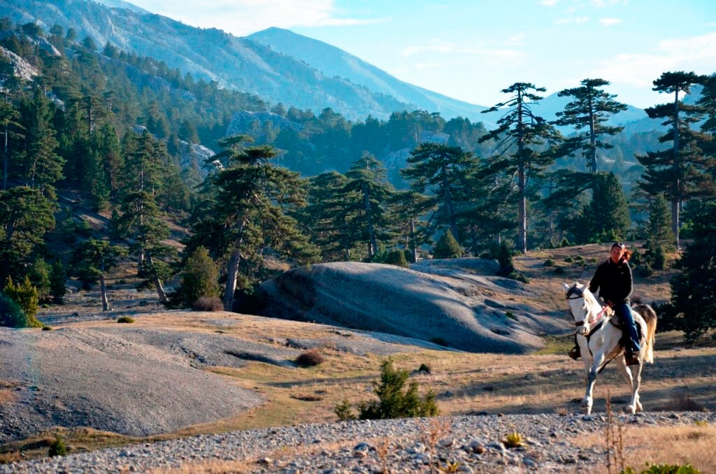 Horse riding in Turkey