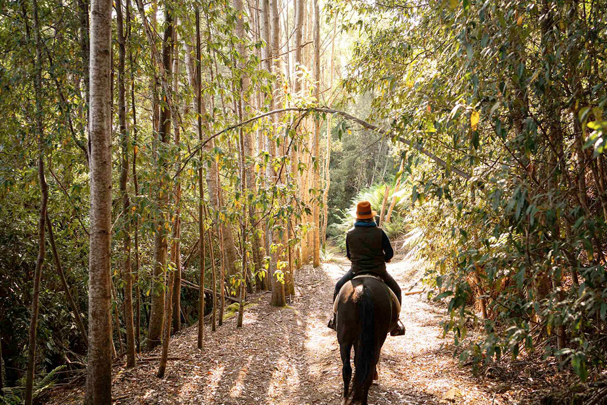 Australian Horse Adventures routen