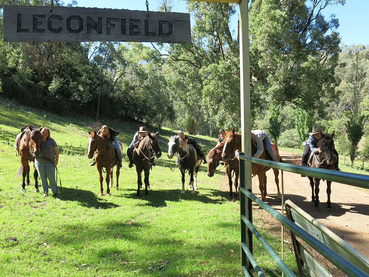 Arbeite auf der Leconfield Ranch