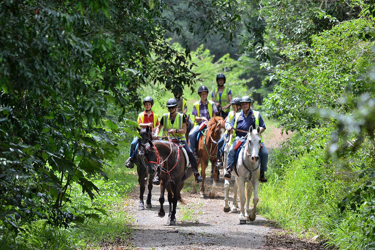 Mary Valley Adventure Trails