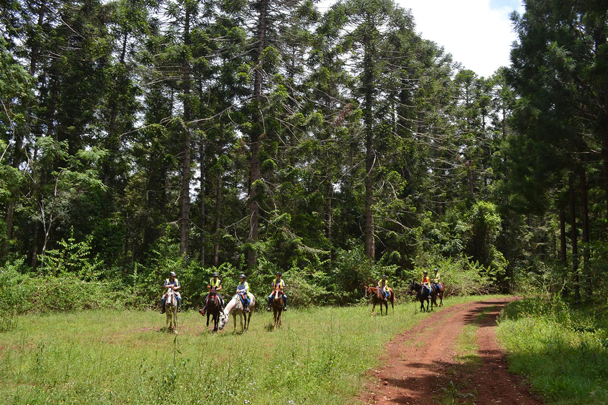 Mary Valley Adventure Trails – Reiturlaub