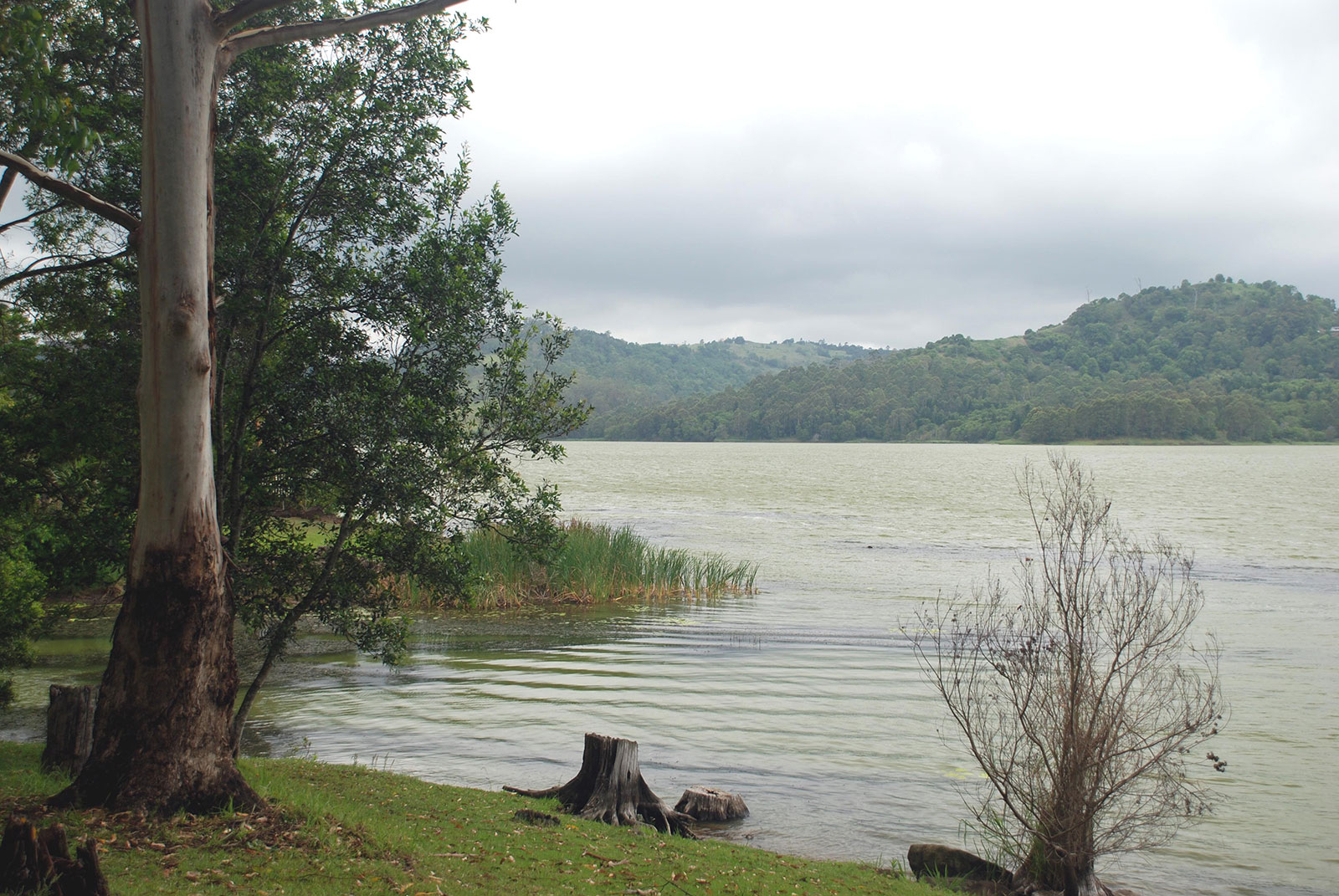 Sunshine Coast in Queensland