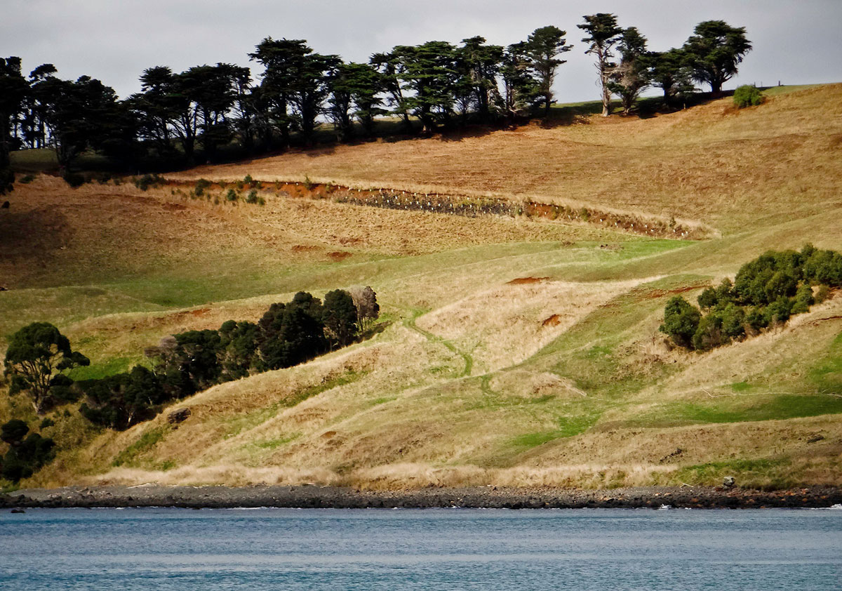 Insel Tasmanien