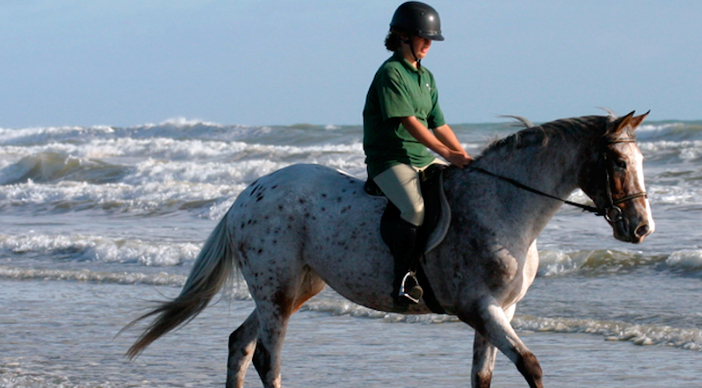 Riding on the beach in New Zealand