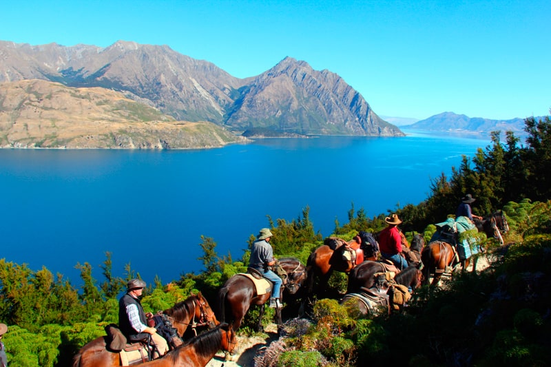 Horse riding holidays in New Zealand