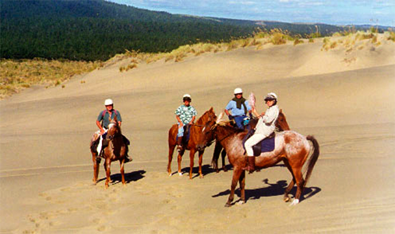 Riding tour in New Zealand