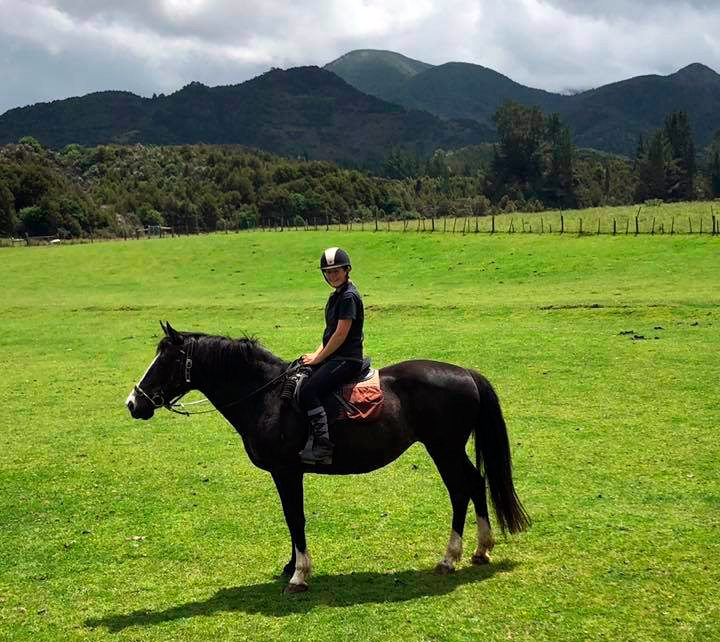 Horse rider en Nueva Zelanda