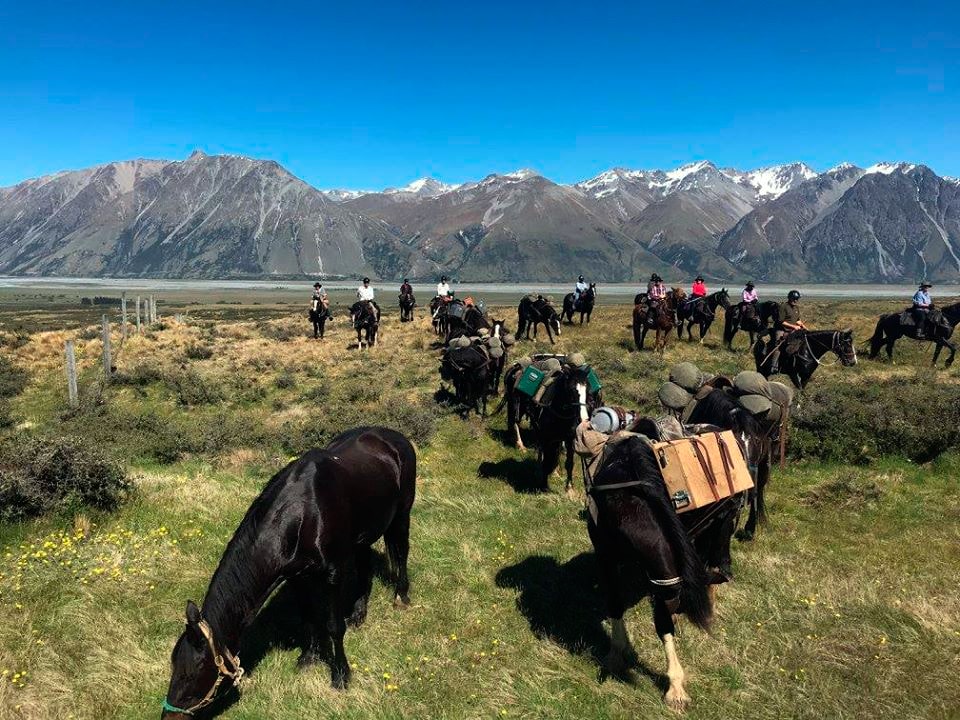 Horseback expedition in New Zealand