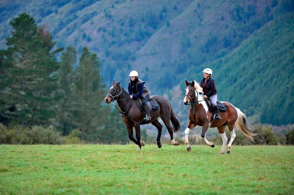 Die weltweit schönsten Länder für Wanderreiten Reiterreisen Pferdetrekking 