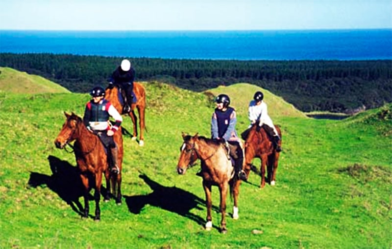 Horse riding holidays with South Kaipara Horse Trecks