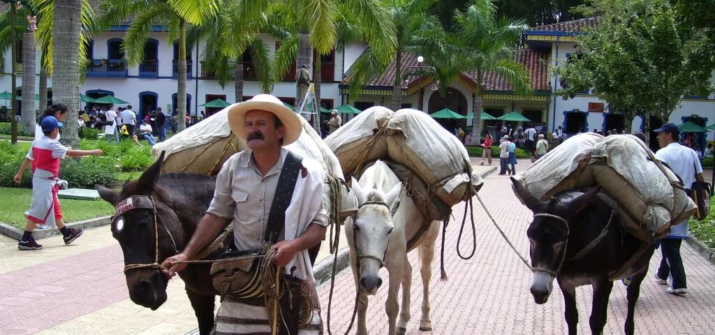 Ruta del Café a caballo en Colombia