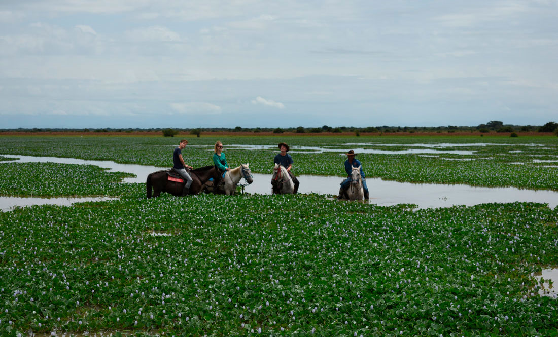 Llanos de Colombia a caballo