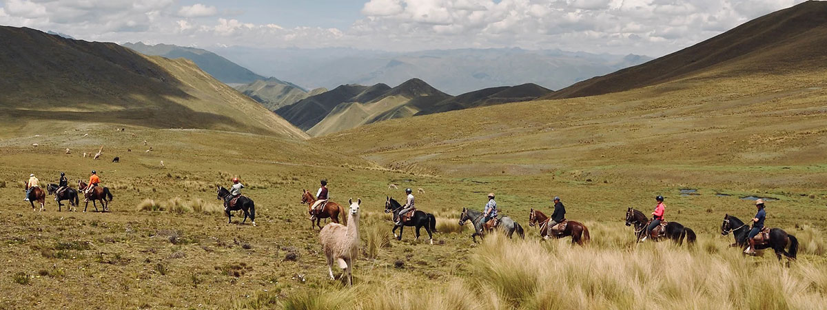 Route à cheval