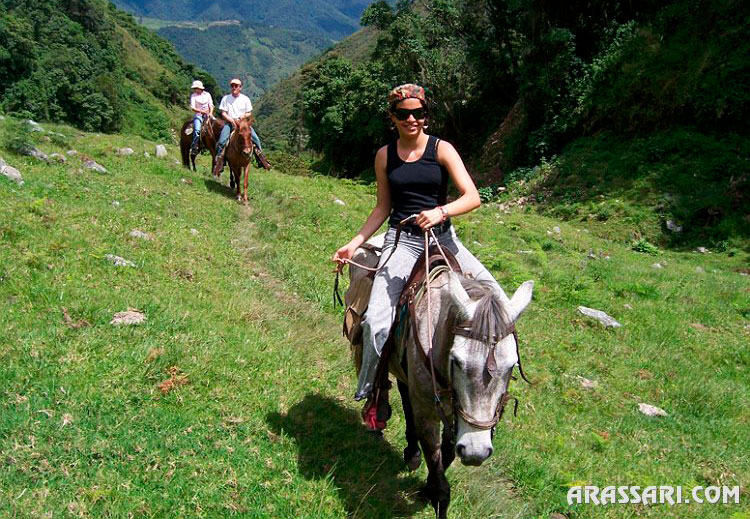 Andes horseback rides