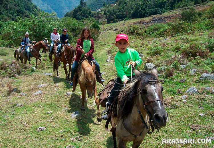 Children on a Horseback Ride