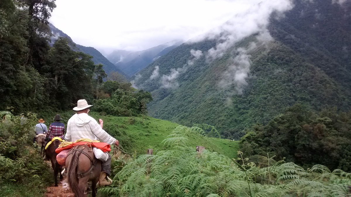 Andes horseback rides