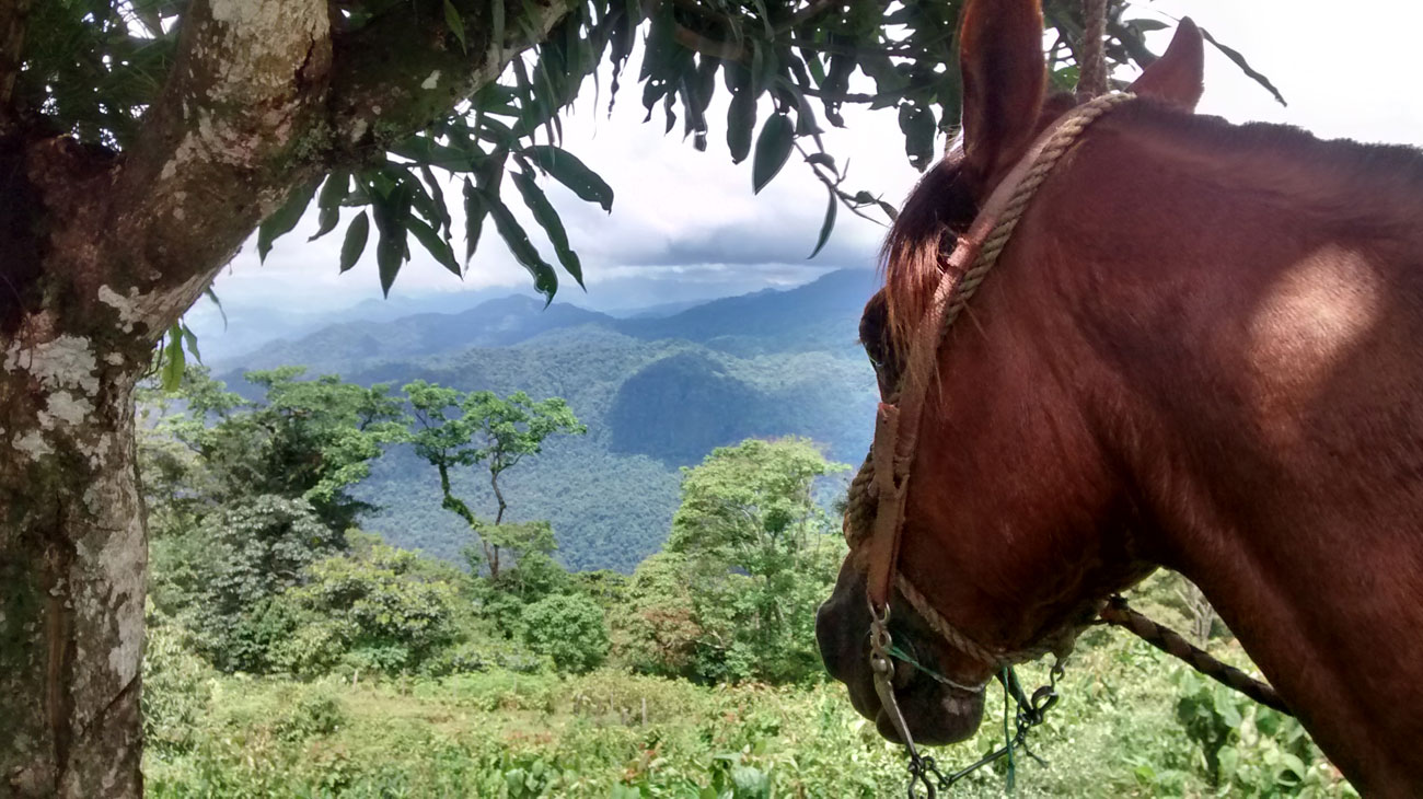 Horseback riding in the Venezuelan Andes