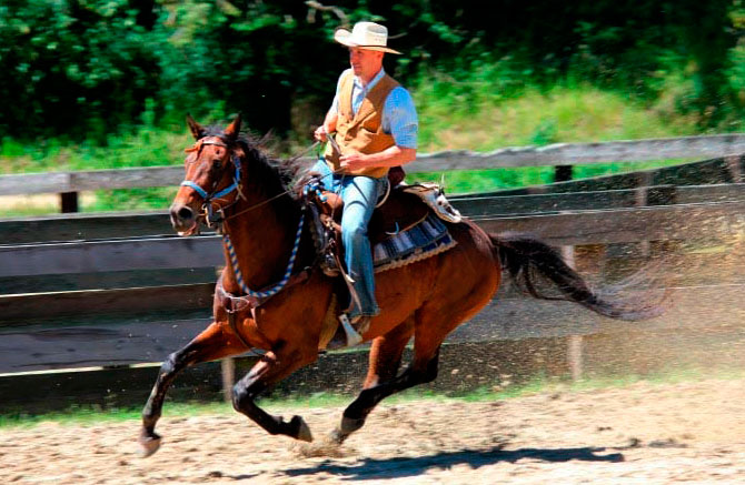 Horseback riding lessons - Red Horse Mountain Ranch